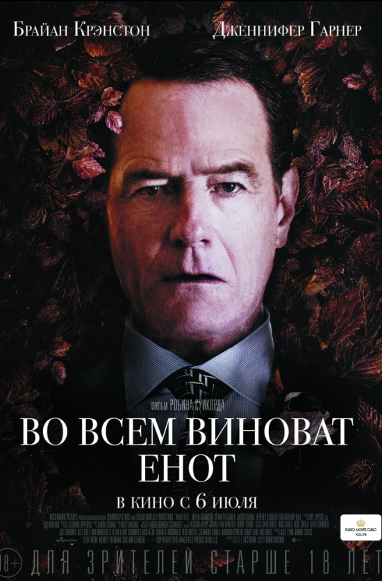 Во всем виноват енот