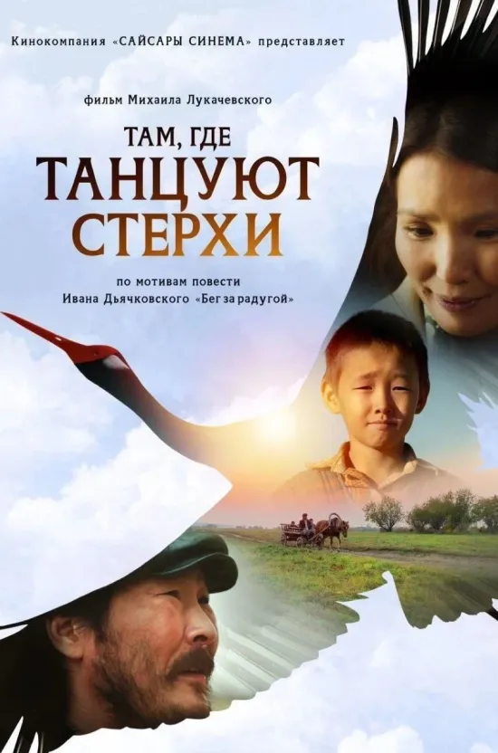 Там, где танцуют стерхи