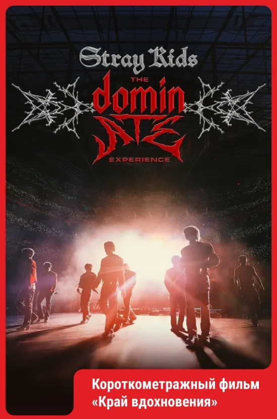 Stray Kids: The dominATE Experience.