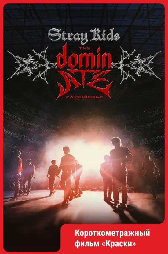 Stray Kids: The dominATE Experience..