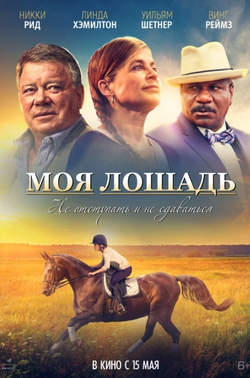 Моя лошадь