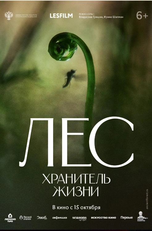 Лес. Хранитель жизни