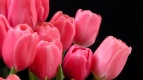 8 марта «Киномакс-Родник» поздравил прекрасную половину человечества с праздником весны!