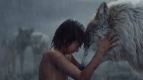 «Книга Джунглей» в Киномакс-Аура
