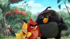 Жители Ярославля увидят «Angry Birds в кино» за день до премьеры
