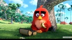 14 мая в «Киномакс 3D Мегаполис» пройдет турнир по игре в Angry Birds