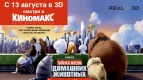 Превью-показы &quot;Тайной жизни домашних животных&quot; 3D в Киномакс уже 13 августа